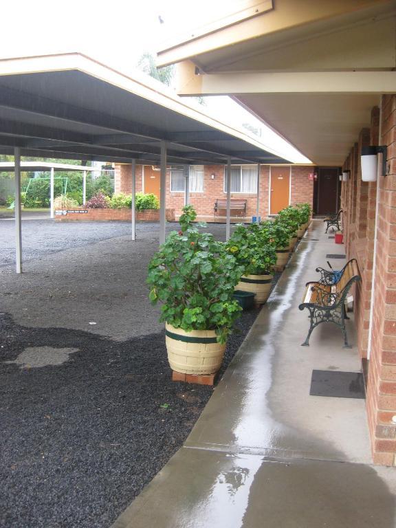 Alfa Motel Gilgandra Buitenkant foto